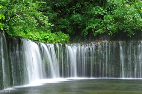 輕井澤 白絲瀑布|白絲瀑布 白雪皚皚白糸の滝，東京近郊旅遊輕井澤景點!